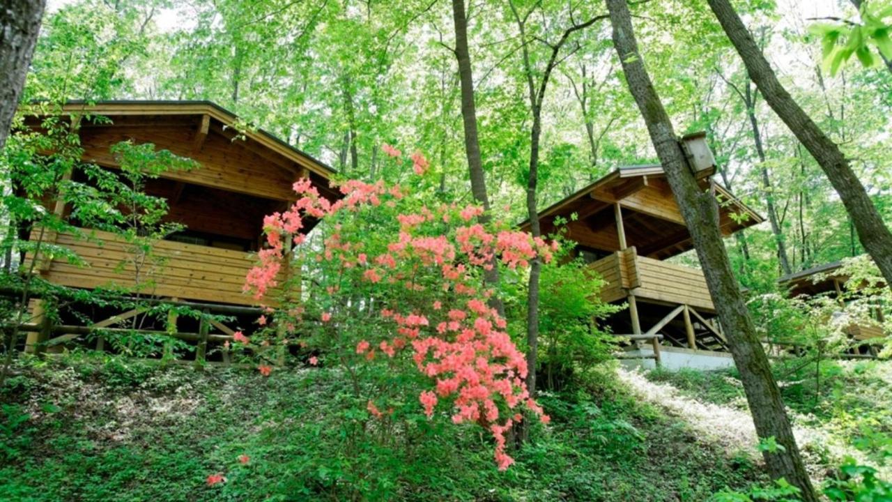 Hotel Pica Chichibu Zewnętrze zdjęcie